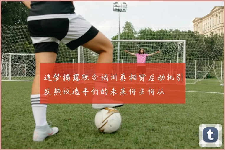 追梦揭露联合试训真相背后动机引发热议选手们的未来何去何从