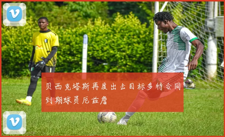 贝西克塔斯再度出击目标多特合同到期球员厄兹詹