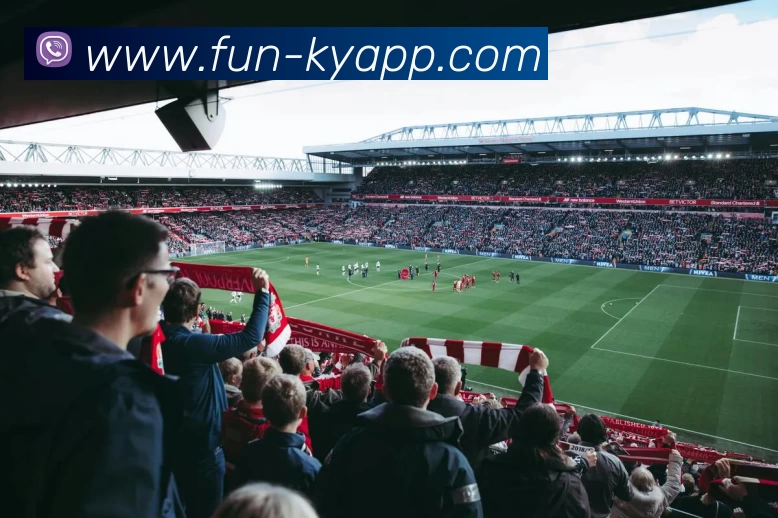 App Interface Preview