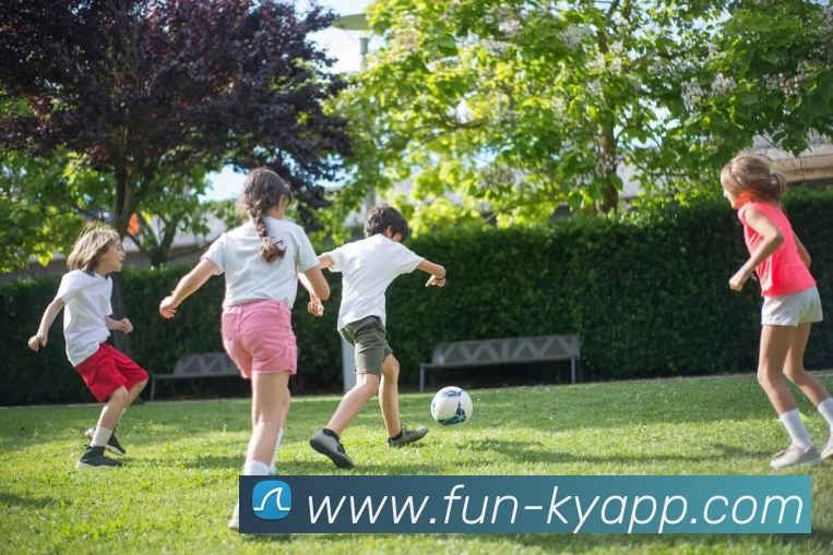 开云体育APP 封面图